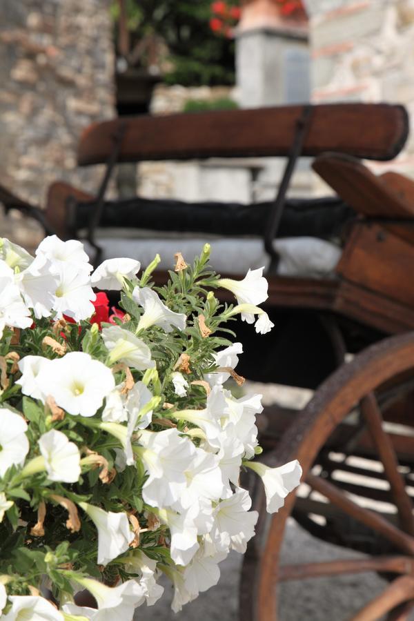 Agriturismo Il Calesse Quarrata Ngoại thất bức ảnh